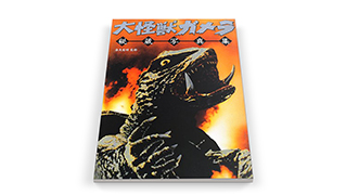 gamera_eye